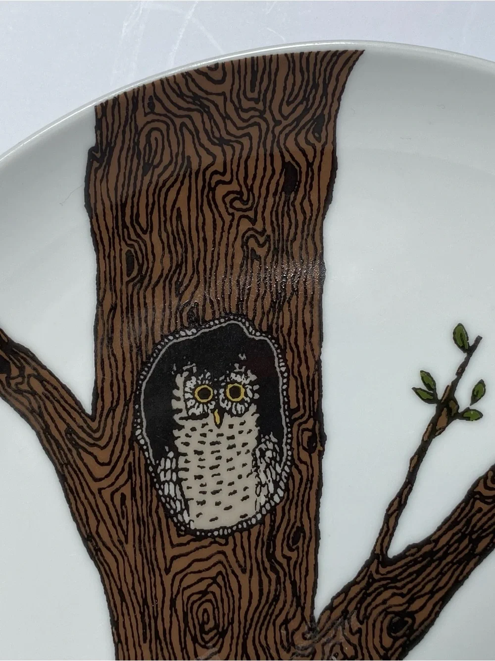 West Elm Owl Plate 8.5” Serving Art Drawing Display Bird Tree Ceramic Birding